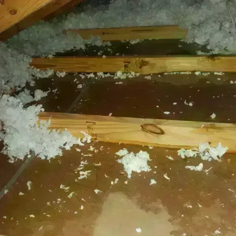 Attic Water Damage in Berryville, AR