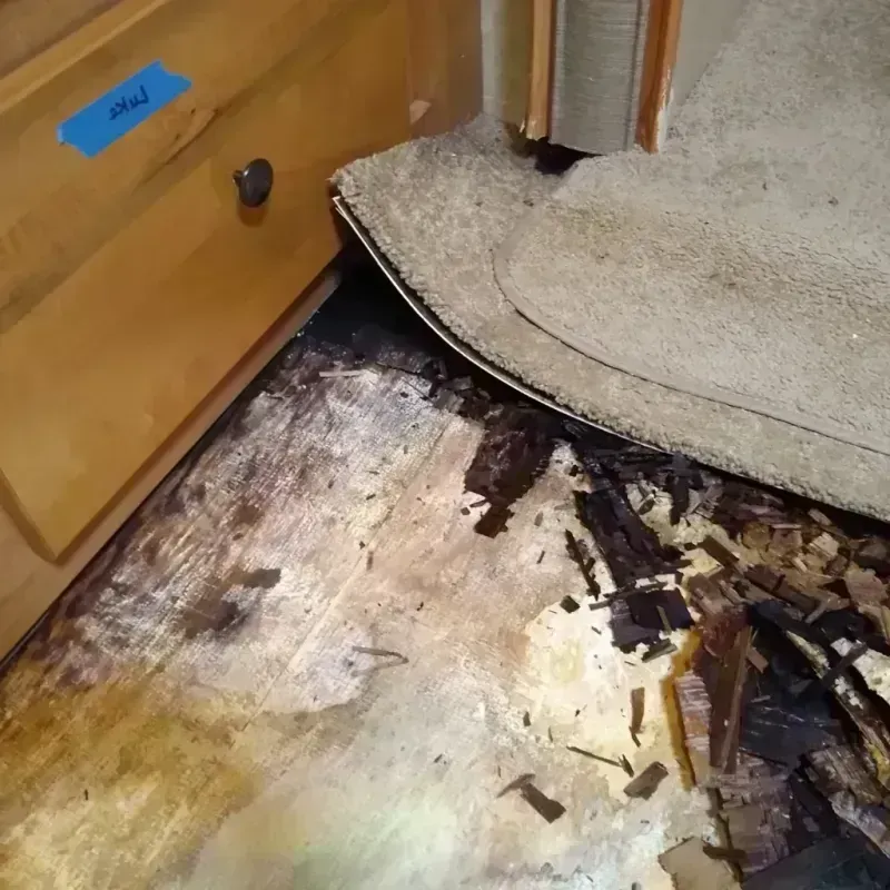 Best Wood Floor Water Damage Service in Berryville, AR